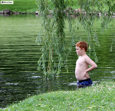Water Babies